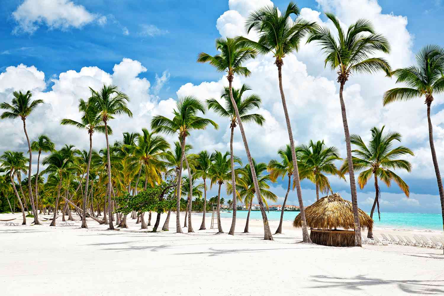 Vacation giveaway