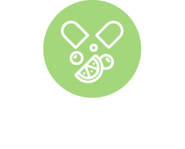 A, C, D Vitamins